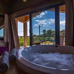 Volans * 费特希耶